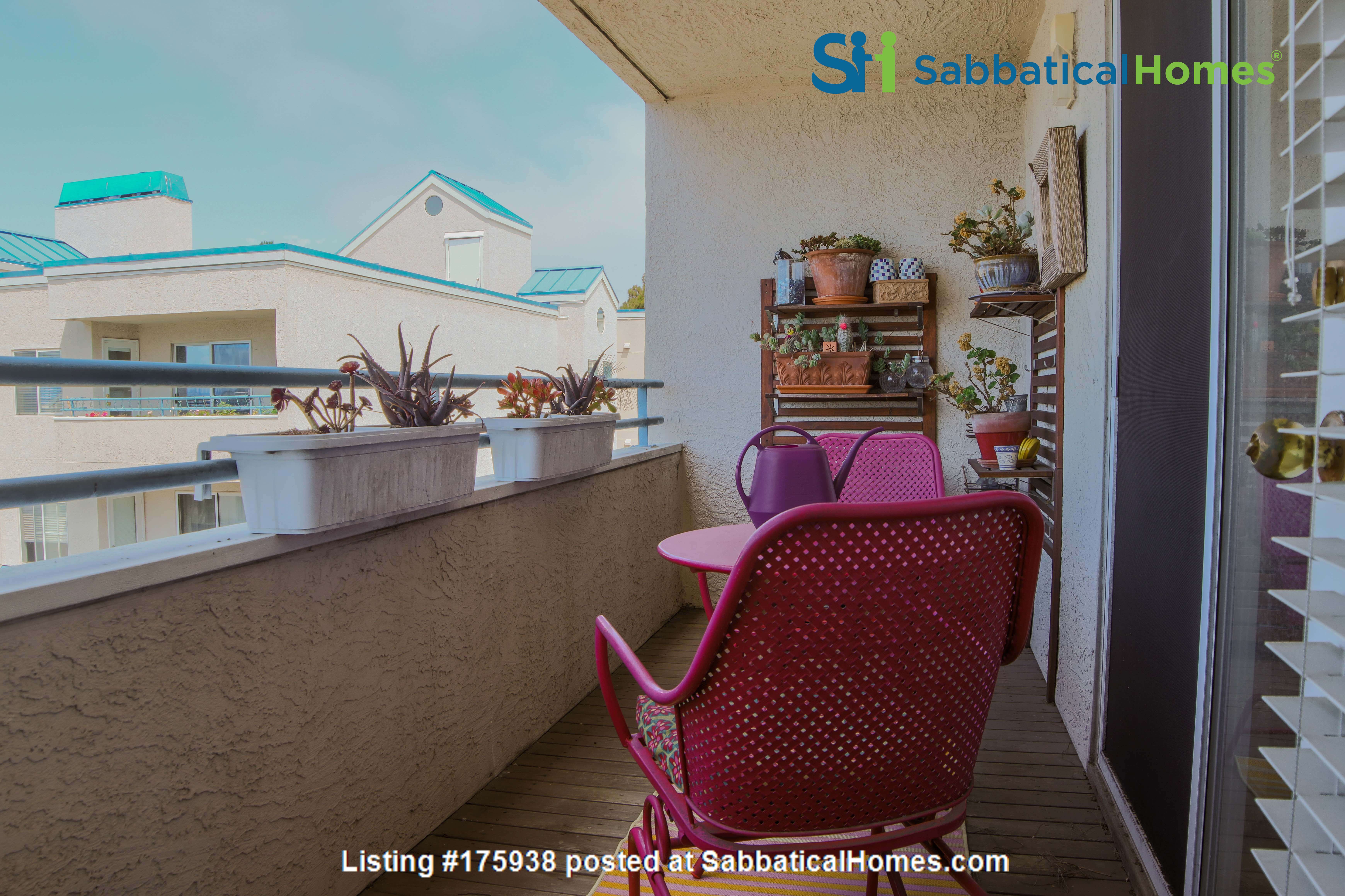 2 bedroom Apartment or Condo for rent in Albany listing 175938